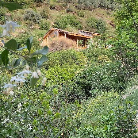 Sirince Magara Deresi Evleri. בקתה סלצ'וק